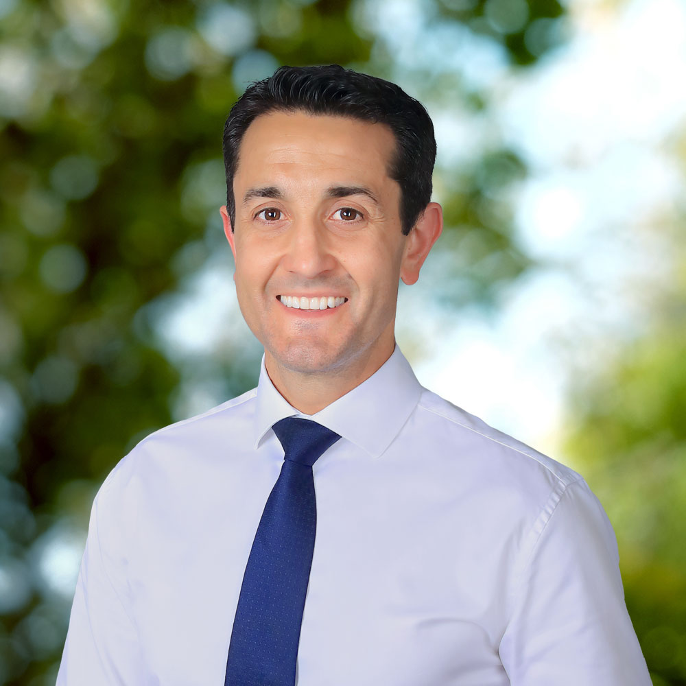 David Crisafulli