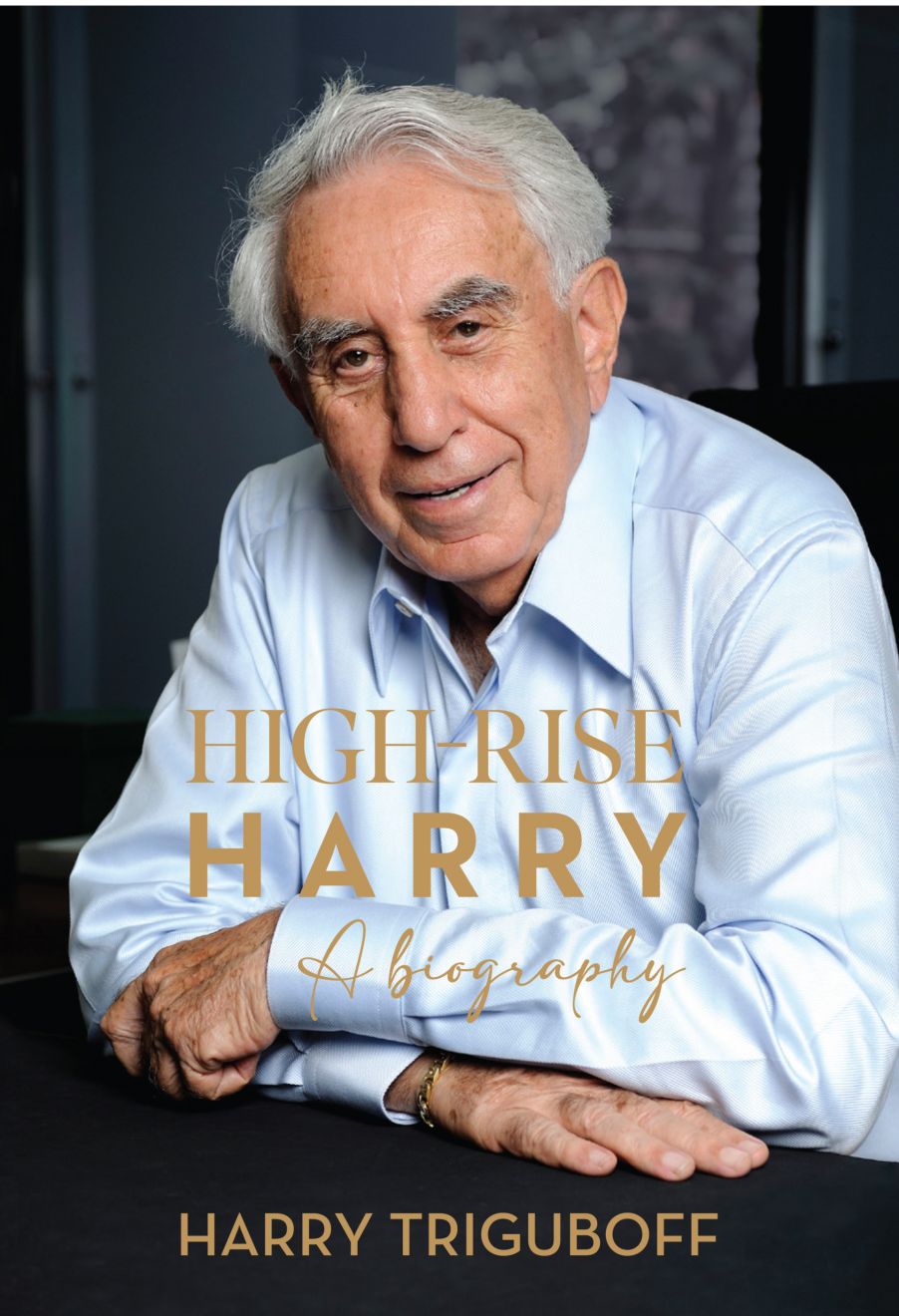 High-Rise Harry book cover